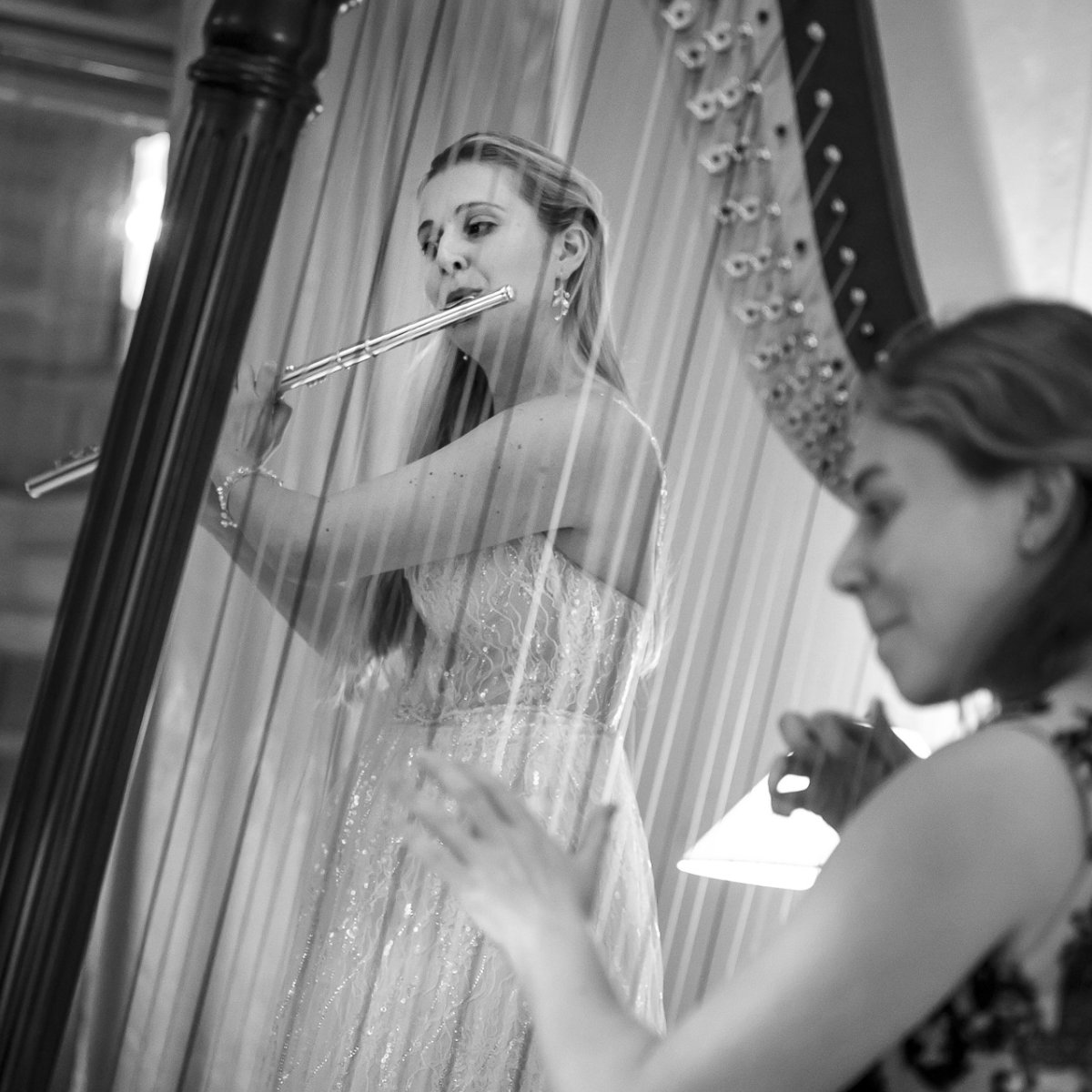 Nous ouvrirons prochainement un appel à bourses. MAIS AVANT DE REMPLIR LA DEMANDE...